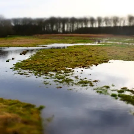 Thorseng Nature * Svendborg